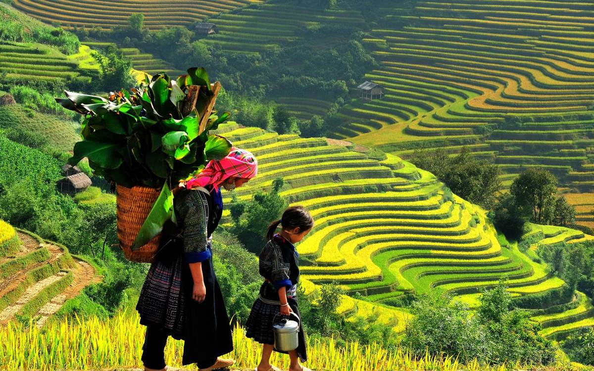 Cuộc sống lao động yên bình của người dân ở bản Tả Phìn