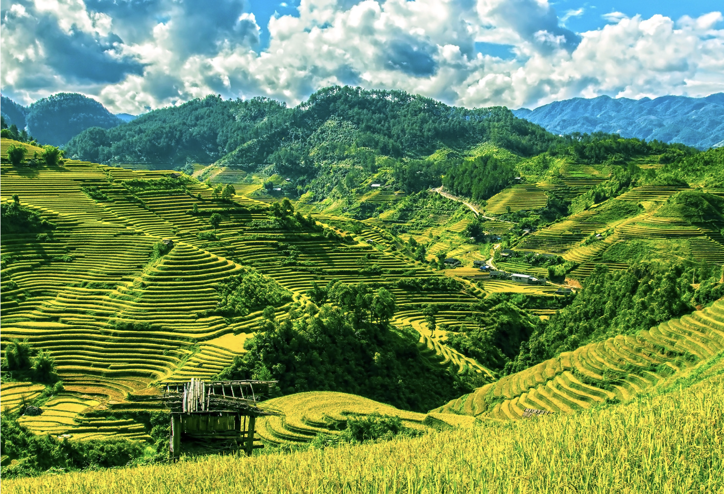 Những thửa ruộng bậc thang hùng vĩ