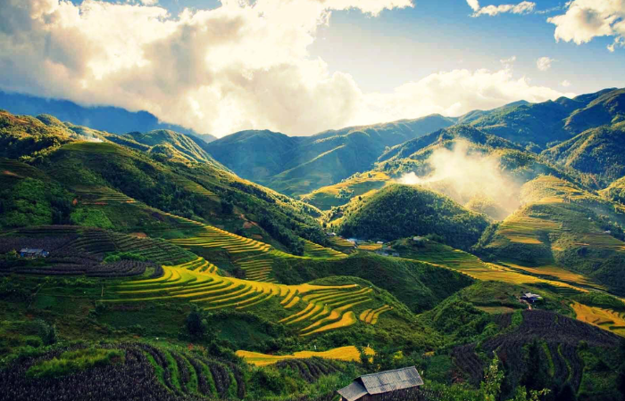  Toàn cảnh núi rừng thung lũng và ruộng bậc thang tại Sapa